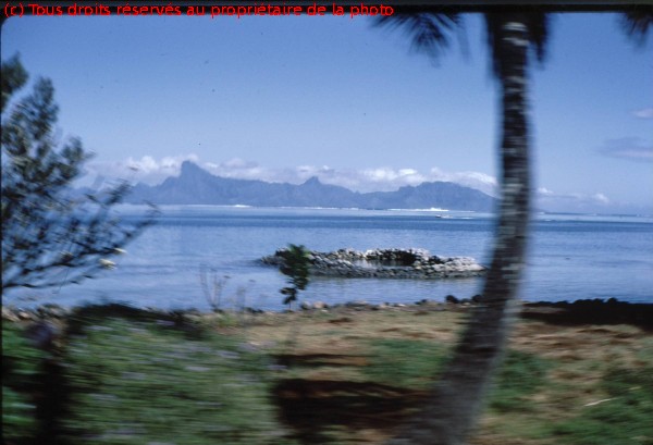 TAHITI 1967-68 (86)
