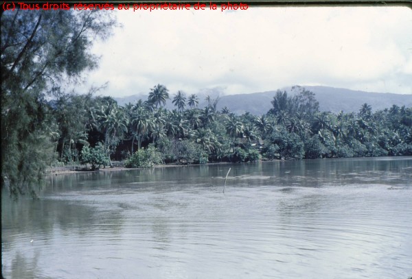 TAHITI 1967-68 (90)