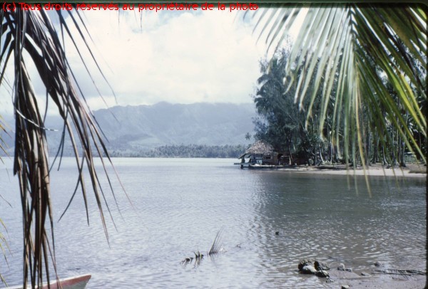 TAHITI 1967-68 (91)