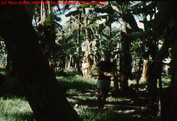 TAHITI 1967-68 (98)