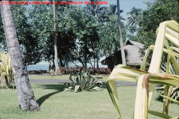 TAHITI 1967-68 (66)