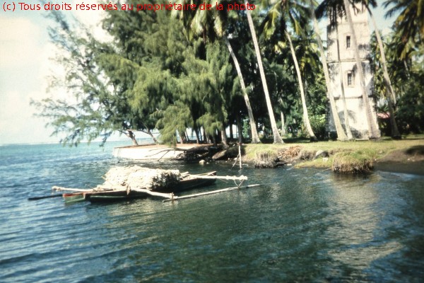Tahiti1964 -P1100539-sap