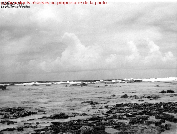 image clichés N & B Polynésie 1964 1965 1293x973
