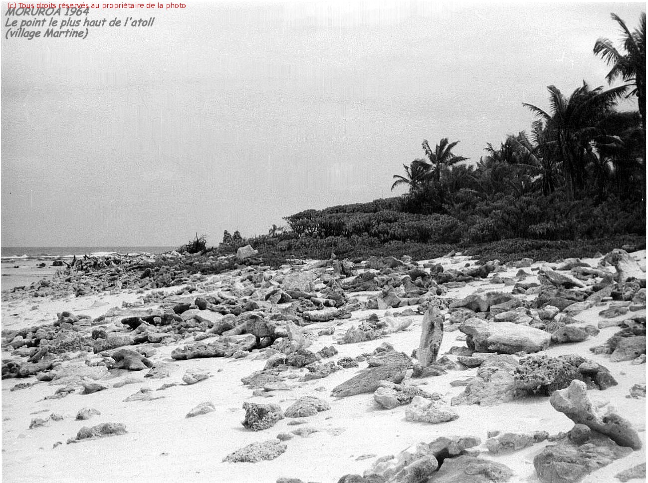 image clichés N & B Polynésie 1964 1965 1299x968