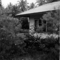 image clichés N & B Polynésie 1964 1965 935x1419