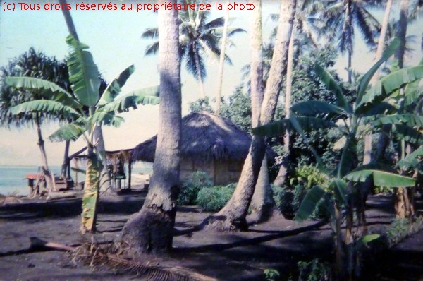 19680200 b03 faré à Tahiti