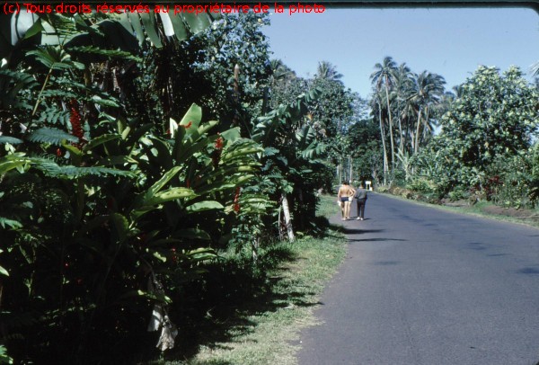 TAHITI 1967-68 (61)
