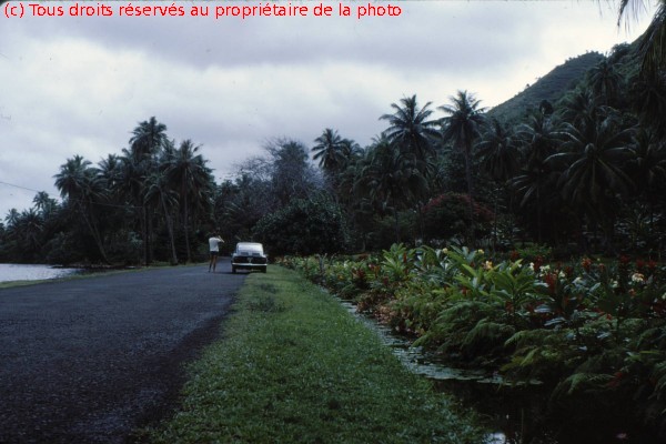 TAHITI 1967-68 (78)